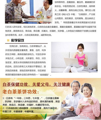 【天峰厂家一级收藏佳品太姥山老白茶时尚商务古树纯料白茶一件代发】广州市番禺区大石天峰茗茶行 - 产品库