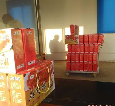 【厂家加工 麻辣鹅肉 优质健康鹅肉批发 绿色天然 欢迎来电【图】价格_厂家_图片 -